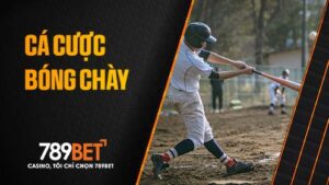 Cá cược bóng chày tại 789BET