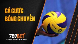 Cá cược bóng chuyền tại 789BET