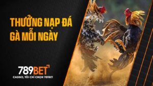 Khuyến mãi thưởng nạp đá gà mỗi ngày cùng 789BET