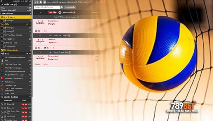 Luật chơi cá cược bóng chuyền tại 789BET Luật chơi cá cược bóng chuyền tại 789BET